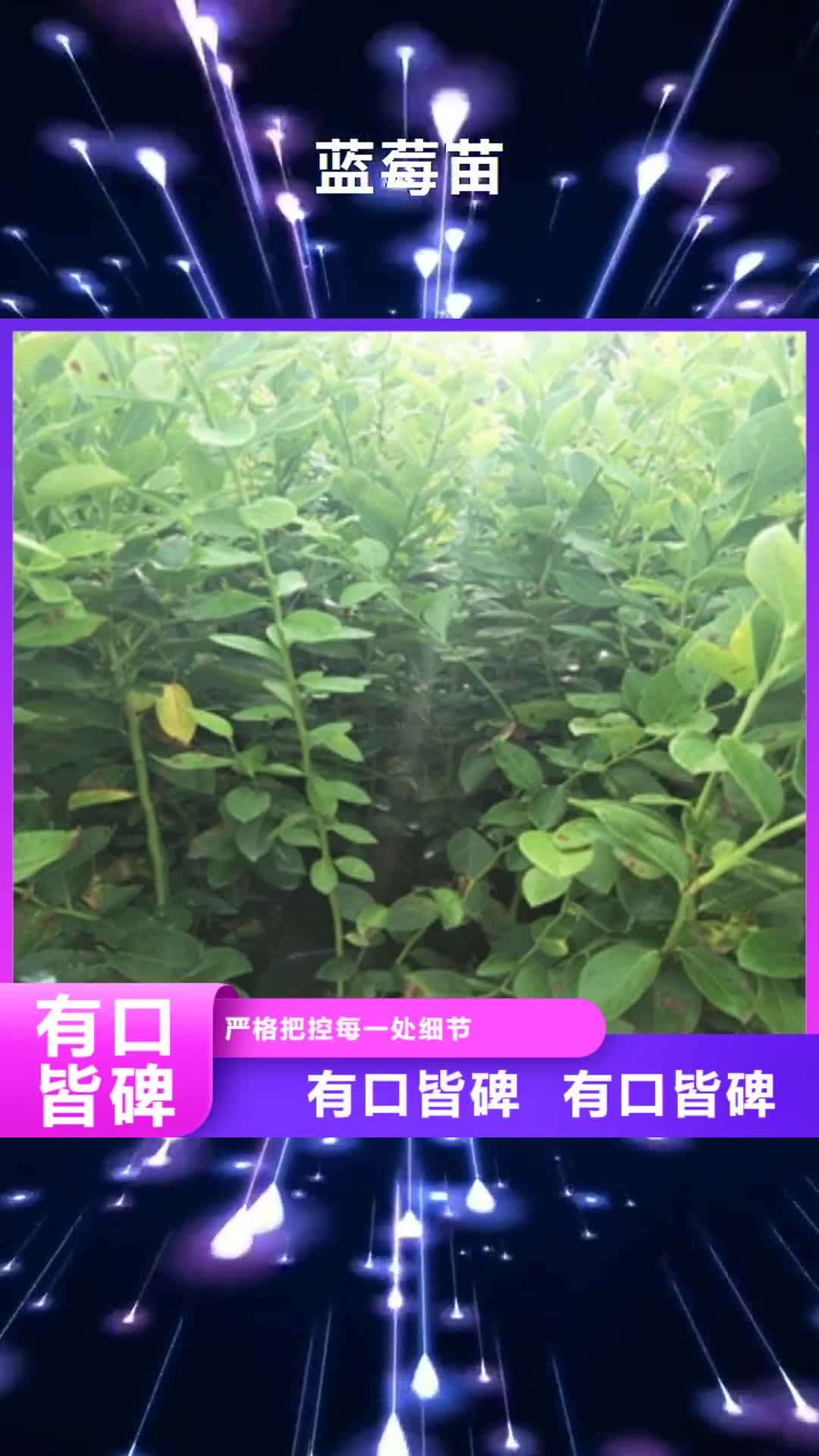 河池【蓝莓苗】碧桃厂家现货供应