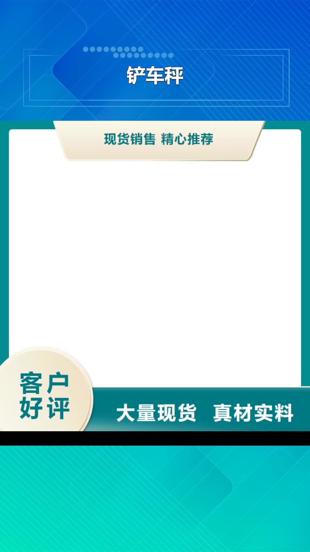 保定 铲车秤【地磅】研发生产销售