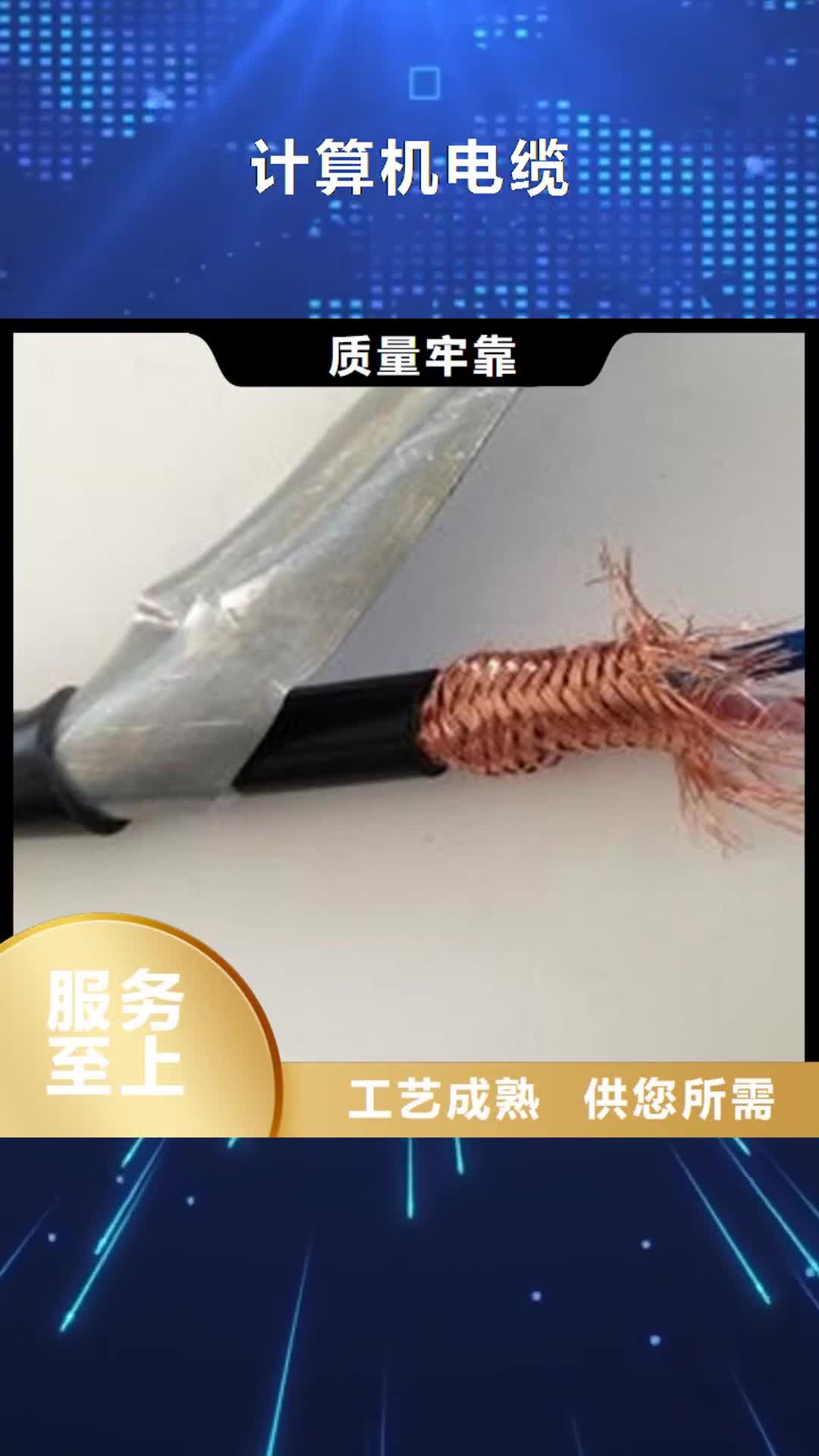 【普洱 计算机电缆_煤矿用阻燃通信电缆优质货源】